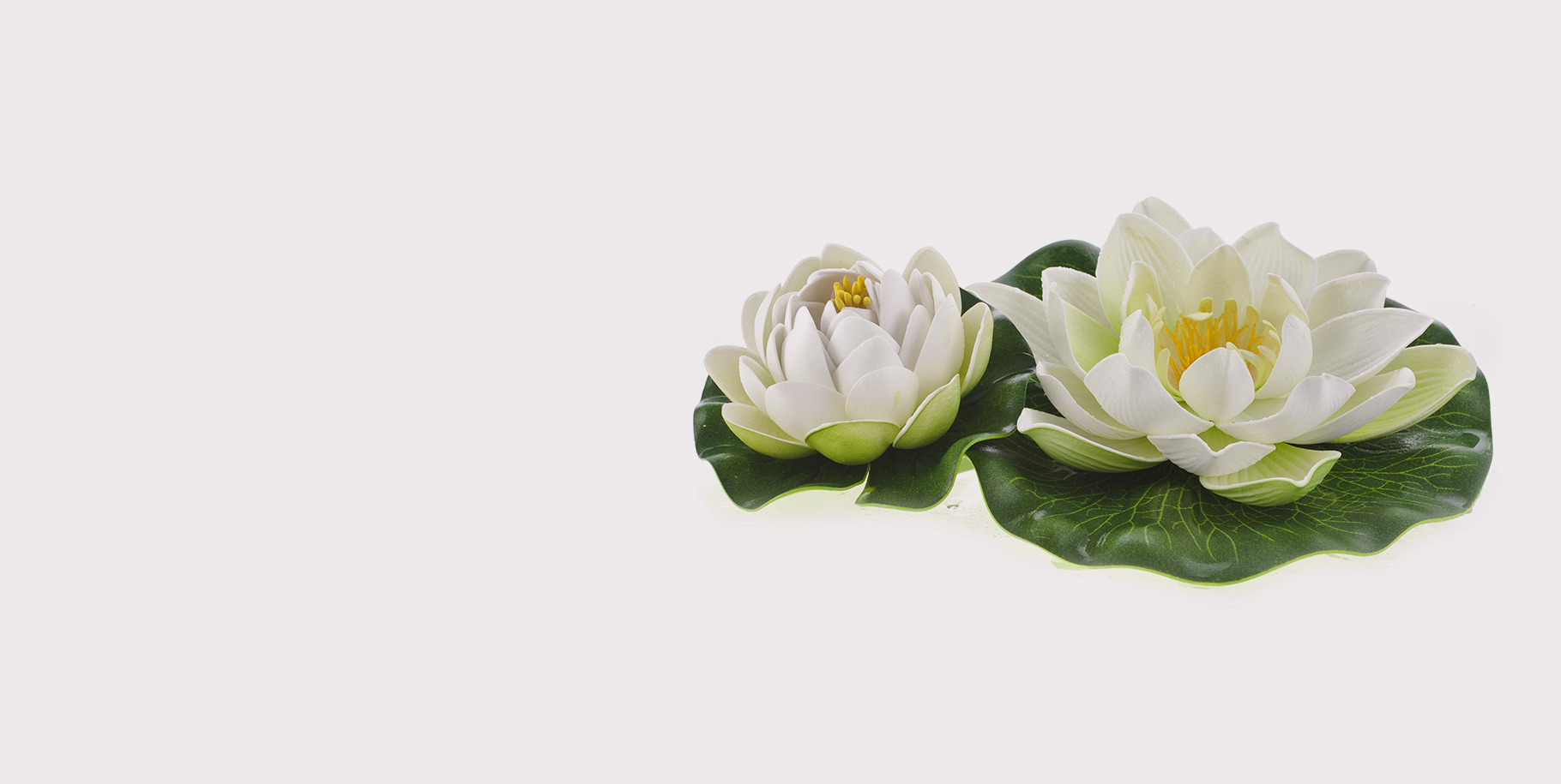 Water Lilies Slide 3